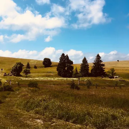 Semesterbostad Medvedi Boudy Loučná pod Klínovcem