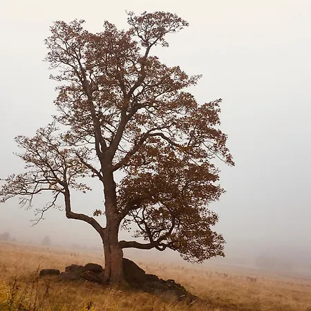 Semesterbostad Medvedi Boudy *