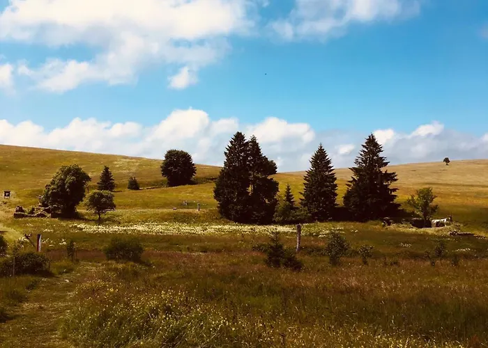Feriehus Medvedi Boudy Loučná pod Klínovcem
