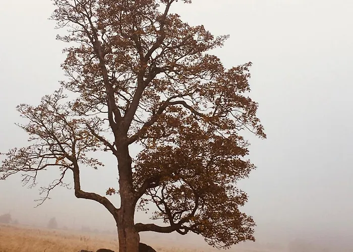 Feriehus Medvedi Boudy *